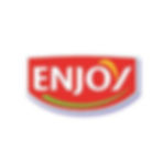 ENJOY logo