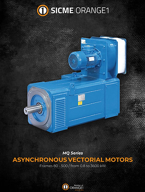 SICMEMOTORI - Egypt - DC Motor - Vector motor