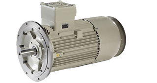 Made in ITALY Squirrel Cage Three-Phase Asynchronous Motors | Brake Motors | Generators | Explosion-Proof ATEX Directive | Water Cooled | Roller Tables Application | High Temperatures Smoke Extraction Systems Motors | Power 0,05:1200 Kw | Insulation Class F/H | Efficiency Class IE2/IE3/IE4